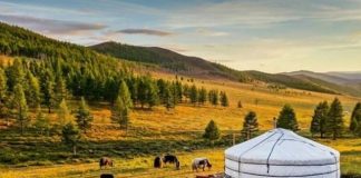 Cảnh quan tuyệt đẹp tại vườn quốc gia núi Khan Khentii Mông Cổ